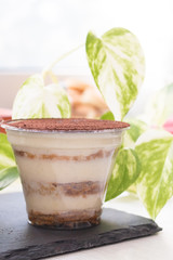 Ready homemade tiramisu cake on a black stand against a green plant