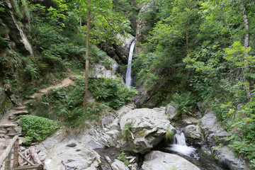 Panoramic beautiful deep forest waterfall