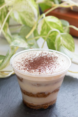 Handmade process of making an Italian tiramisu cake at home. Ready cake sprinkled with chocolate