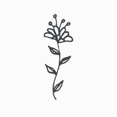Tiny Leaves Plants Hand drawn vector illustration for logo, invitations, graphic design