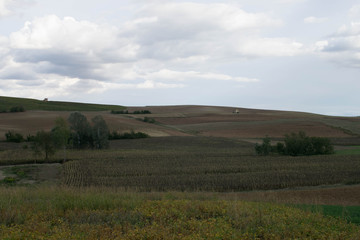 Obraz premium Fields cultivated in the Piedmont hills