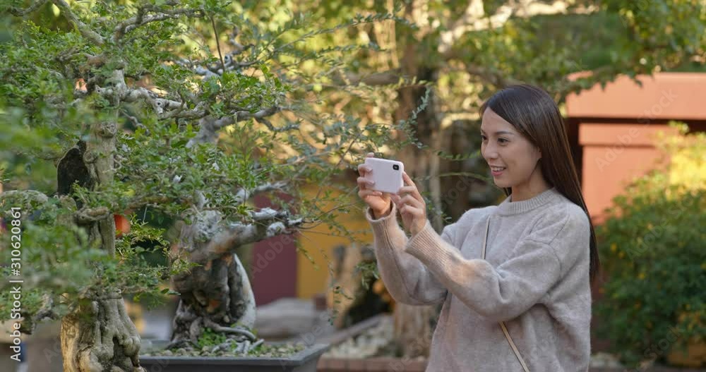 Wall mural woman take photo on cellphone in chinese garden