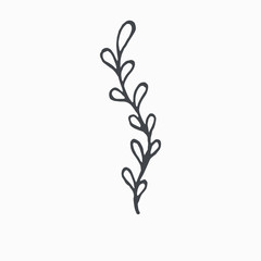 Tiny Leaves Plants Hand drawn vector illustration for logo, invitations, graphic design