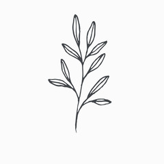 Obraz premium Tiny Leaves Plants Hand drawn vector illustration for logo, invitations, graphic design