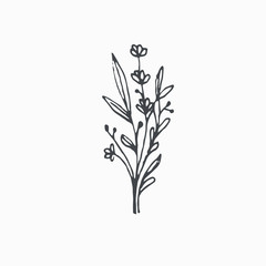 Fototapeta na wymiar Tiny Leaves Plants Hand drawn vector illustration for logo, invitations, graphic design
