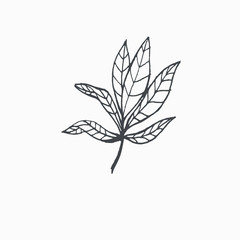 Tiny Leaves Plants Hand drawn vector illustration for logo, invitations, graphic design