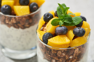 close up view of tasty granola with canned peach, blueberries and mint