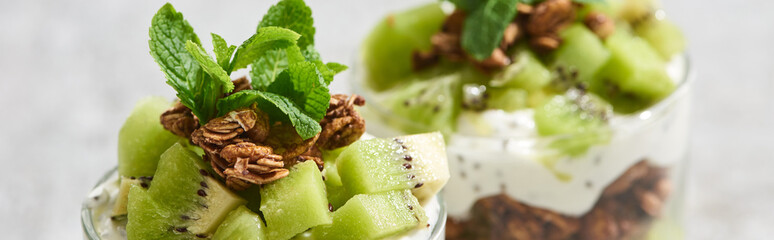 selective focus of fresh granola with kiwi and mint, panoramic shot