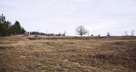  Panoramic View of the Mountain Natural Landscape
