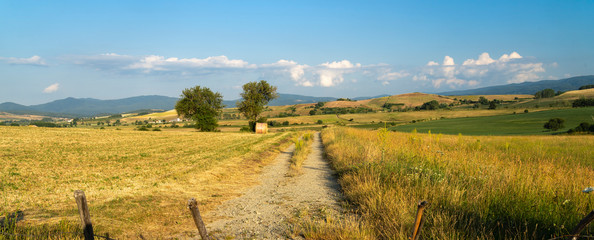 Summer landscape along the road to Camigliatello, Sila
