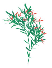 Bush with flowers Isolated on a white background. A lot of green leaves with red flowers. Vector illustration