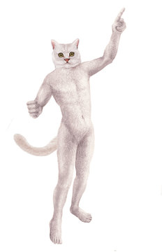 67 Best Mannequin Homme Images Stock Photos Vectors Adobe Stock