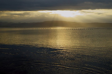 沢根海岸の朝景色。天使の梯子と牡蠣筏