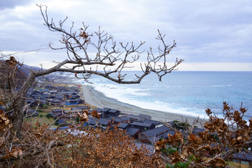 屋根の美しい集落と、日本海と木