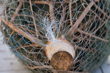 Closeup of a  packed green Nordmann fir is lying outside the house on the balcony and waiting for its use as Christmas tree