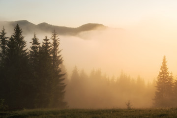 Beautiful foggy landscape in the mountains. Fantastic morning glowing by sunlight.