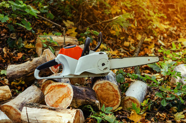 Electric chain saw in the forest lies on cut logs