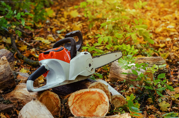 Electric chain saw in the forest lies on cut logs