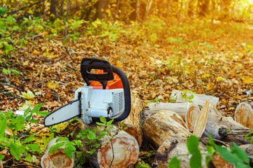 Electric chain saw in the forest lies on cut logs