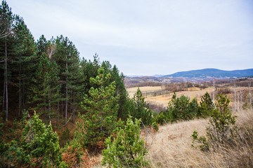 Fototapeta na wymiar Panoramic View of the Natural Landscape
