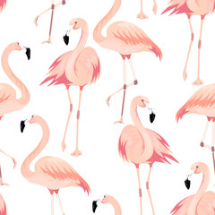 Vector seamless pattern with exotic flamingo. Summer decoration print for wrapping, wallpaper, fabric
