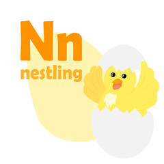 ABC Alphabet illustration. Vector cute kids animal alphabet. Letter N. Cute cartoon nestling.