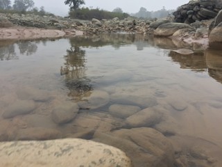 stones visible in calm water.