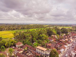 Many villas with brown-orange shingle roofs between tropical trees on the sky background in Ubud on Bali. Sun is shining onto them. Aerial horizontal photo