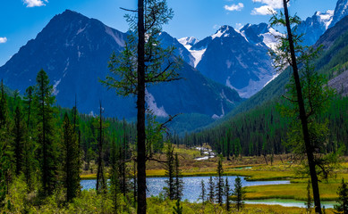 Forest lake on the background of snow-capped mountain peaks in the Altai Republic.