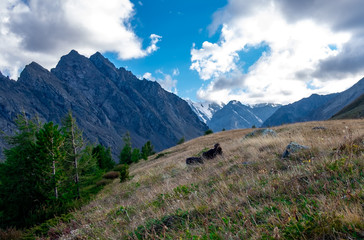 Fototapeta na wymiar Mountain plateau in clear weather in the Altai Republic.