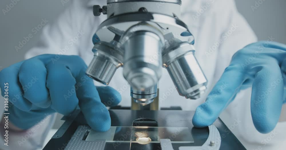 Wall mural close up shot of the scientist studies examining of test sample under the microscope in laboratory.