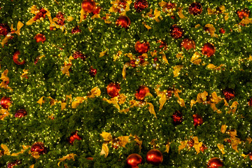 Lighting bulb and decorative pine tree in Merry Christmas and Happy New Year at the night for abstract background texture