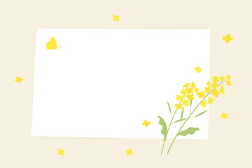 Vector canola flowers and white paper background illustration