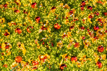 Lighting bulb and decorative pine tree in Merry Christmas and Happy New Year at the night for abstract background texture