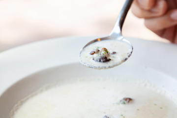 White creamy oringi and staw mushroom soup