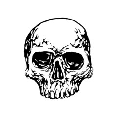 hand drawn human skull illustration. engraved skull tattoes image.