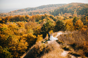 Beautiful newlyweds are standing on a hill in the middle of autumn forests and mountains. Top view