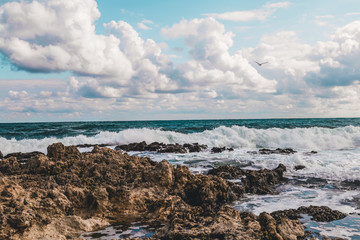 Stone Beach sea coast storm and bird