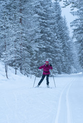 active senior woman on her cross country skis on ski track in the Fischlein Valley, Three peak...
