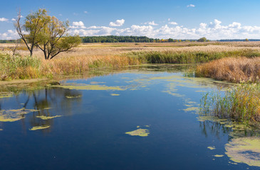 Autumnal landscape with small river Kolomak in Potavsk oblast, Ukraine