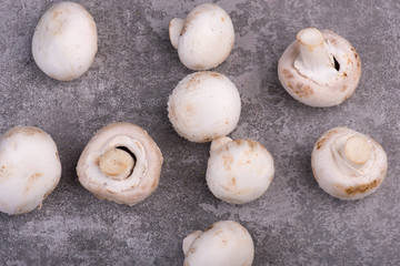 White champignons on a grey structured background