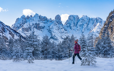 active senior woman snowshoeing in  spectacular Hoehlenstein Valley under the Monte Crstallo, Dolomites  near village of Toblach, South Tyrol, Italy