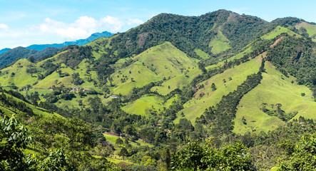 Paisagem com colina verdejante e floresta
