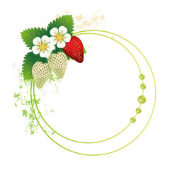frame with strawberry and blossom background