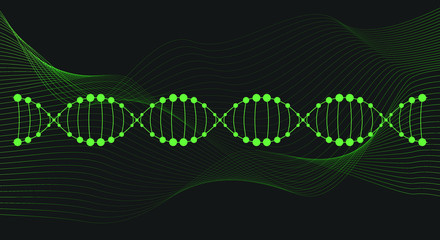 Structure of DNA. Vector illustration.