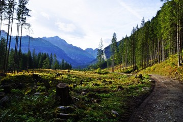 Tatrzańska Dolina © Jakub