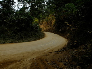 The road to sugar cane field, rural area in THAILAND