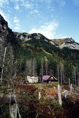 Zielona Dolina Jaworowa © Jakub