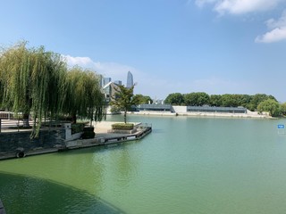 The bank of a river with trees