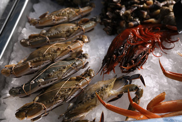 Fresh swimming crabs and other seafood on ice. Wholesale market